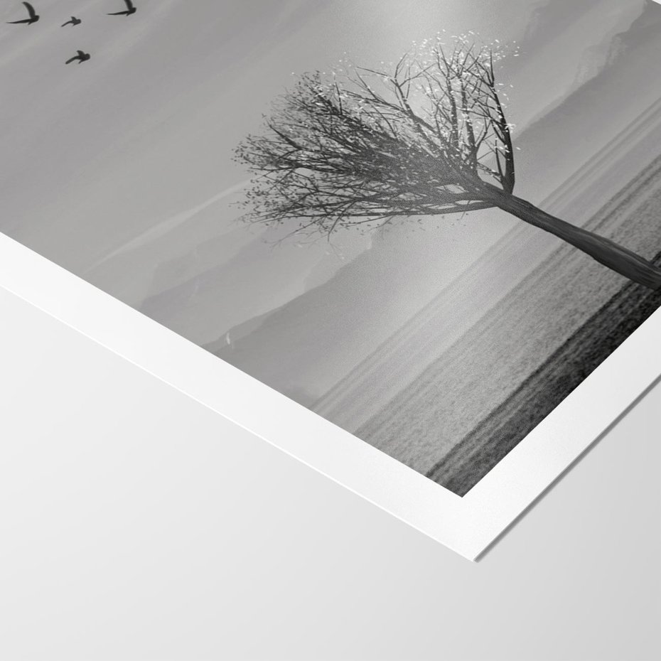 Plakat bez ramy 40x50 - Samotne Drzewo - samotne drzewo w polu, czarno białe zdjęcie