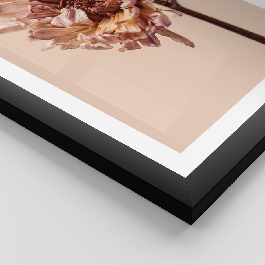 Plakat w ramie 30x40 - Delikatne piękno - suche, kwiaty - rama czarna