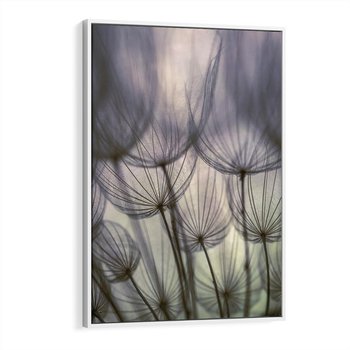 Obraz w ramie 80x120 - Makro dmuchawiec - piękno drobnych detali - dmuchawce, makro - rama biała