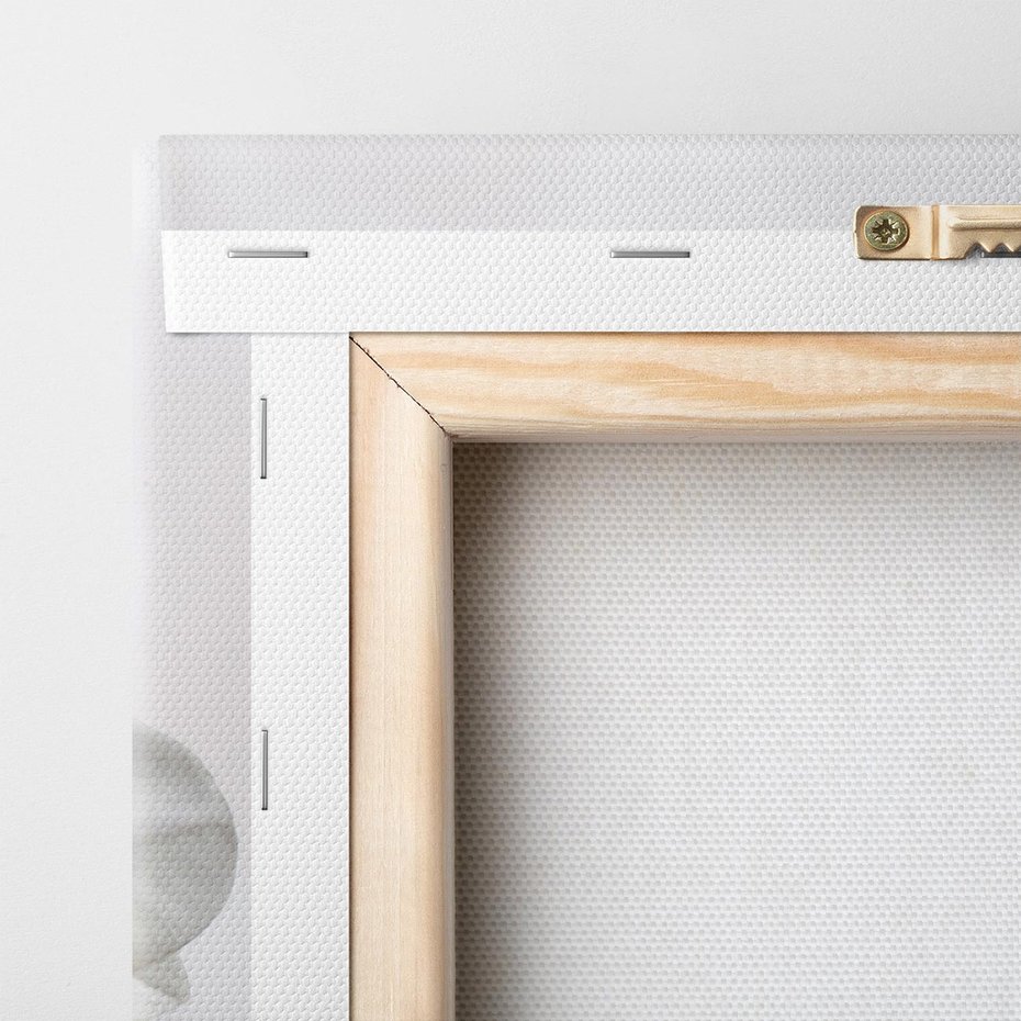 Obraz na płótnie 30x30 - Orchidea Kwiat - orchidea, kwiat