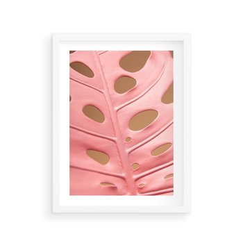 Plakat w ramie 30x40 - Różowy Liść Monstery - różowy liść monstery, nowoczesna fotografia - rama biała