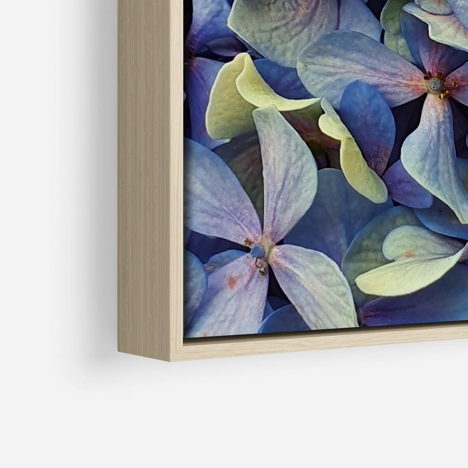 Obraz w ramie 50x50 - Hortensja - delikatność kwiatów - hortensja, kwiaty - rama drewno