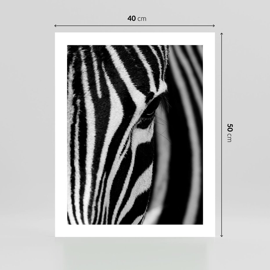 Plakat bez ramy 40x50 - Pasy Zebr - zebra, paski