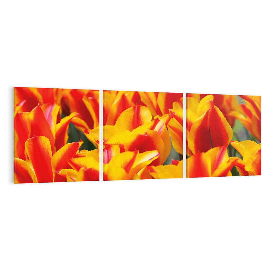 Obraz na płótnie 120x40 - Kwiatowa natura - kwiat, kwiaty