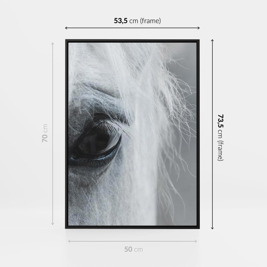 Obraz w ramie 50x70 - Oko Mocy - czarno białe zdjęcie, zbliżenie makro na oko konia - rama czarna