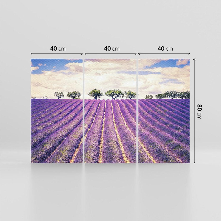 Obraz na płótnie 120x80 - Uroda Lawendy: Kwiatowy Cud Natury - lawenda, kwiaty