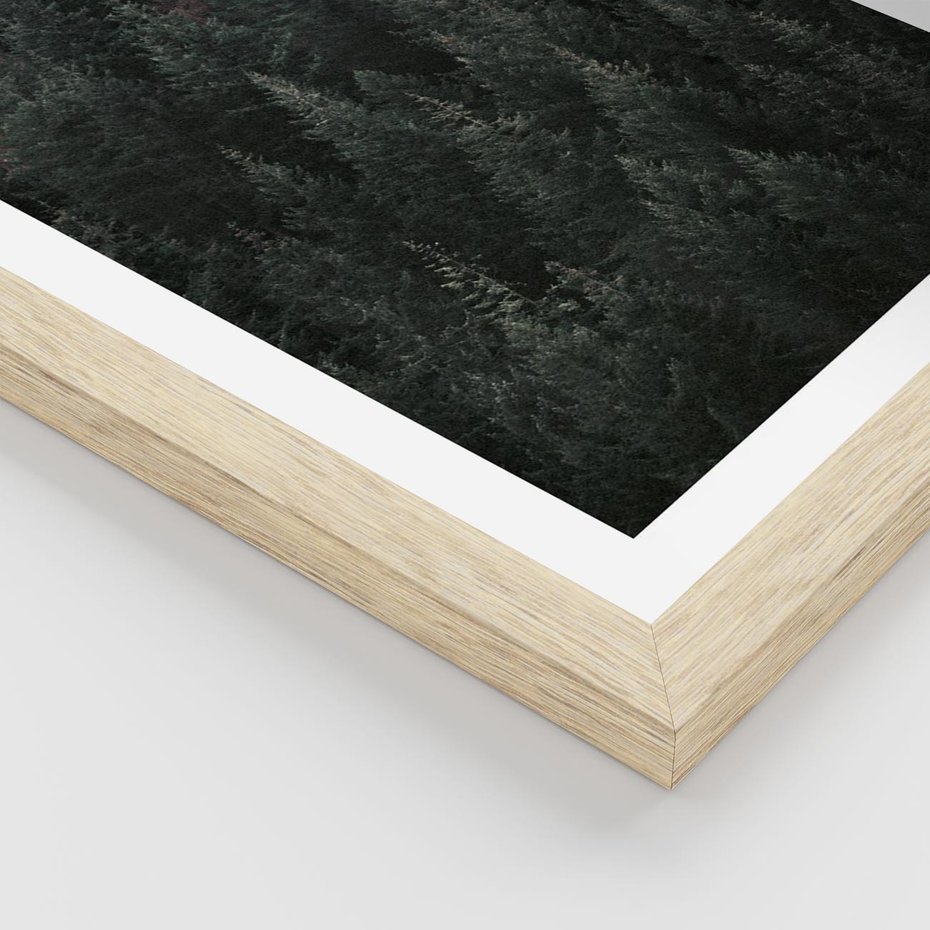 Plakat w ramie 40x50 - Wysoko nad Iglastym Lasem - las, perspektywa - rama drewno