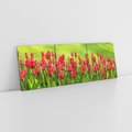 Obraz na płótnie 120x40 - Tulipanowy raj - kwiat, kwiaty