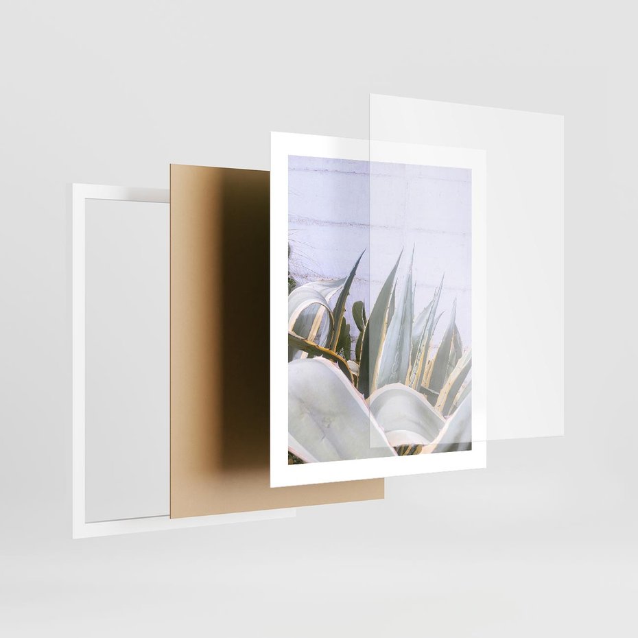 Plakat w ramie 40x50 - Sukulentowe liście - liście, sukulenty - rama biała