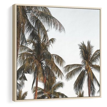 Obraz w ramie 50x50 - Palmy - tęsknota za Hawajami - palmy, Hawaje - rama drewno