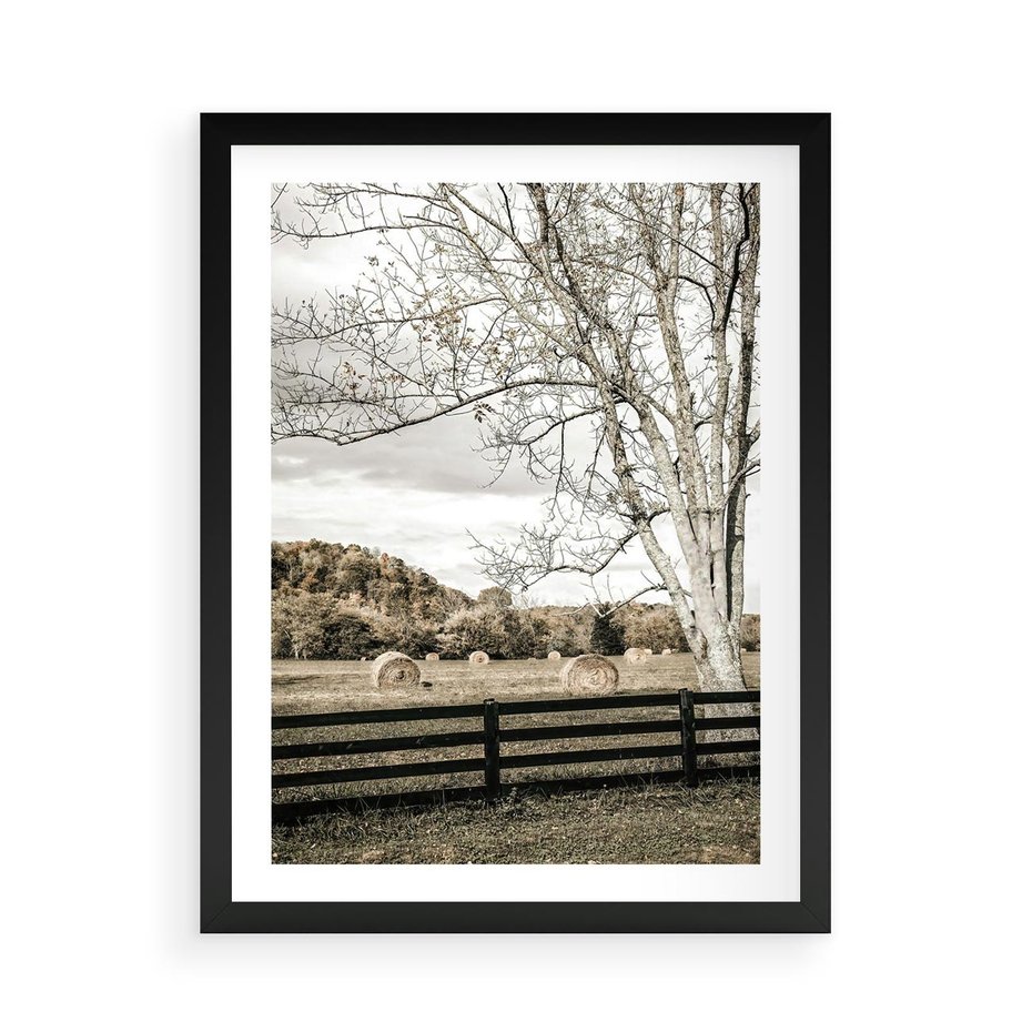 Plakat w ramie 50x70 - Drzewa i Snopki Siana - farma, drzewa - rama czarna
