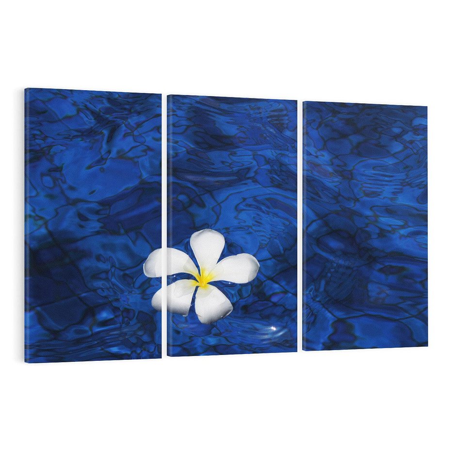 Obraz na płótnie 120x80 - Kwiaty wodne delikatność natury - kwiat, woda