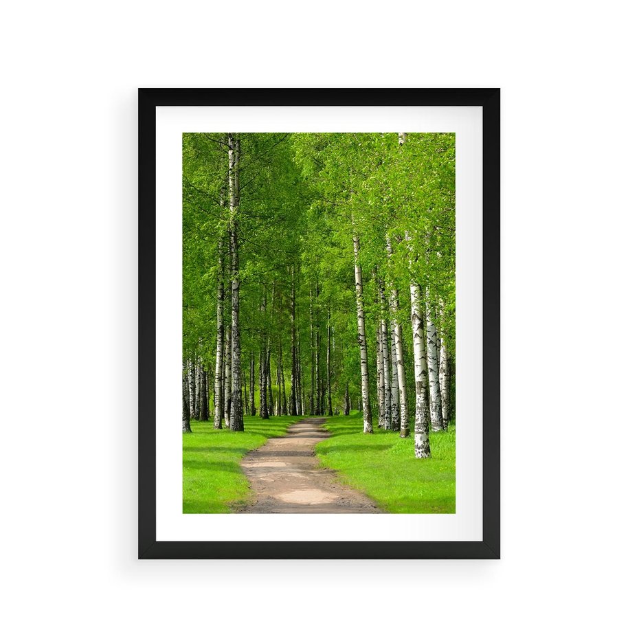 Plakat w ramie 30x40 - Spacer Ścieżką w Urokliwym Lesie - las, ścieżka - rama czarna