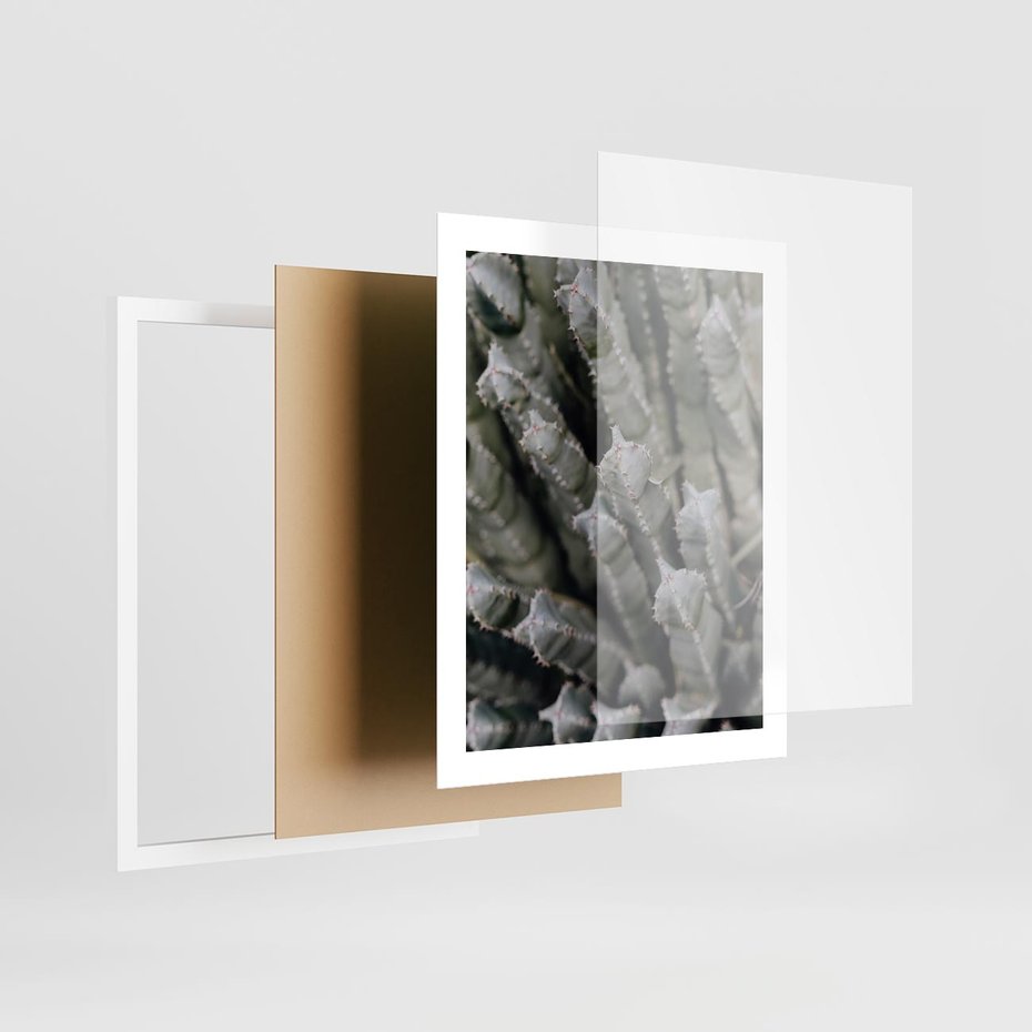 Plakat w ramie 40x50 - Boho kaktusy na pustyni - kaktusy, pustynia - rama biała