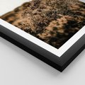 Plakat w ramie 40x50 - Krajobraz W Naturze: Beże i Brązy - suche krzewy, natura - rama czarna