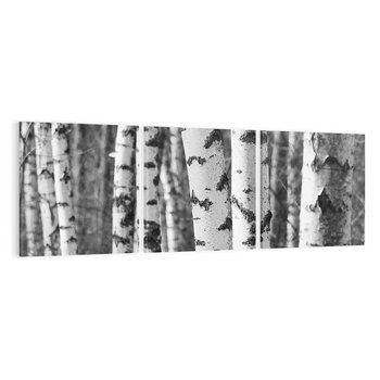 Obraz na płótnie 150x50 - Kontrast Monochromatyczny - brzozy, czarno