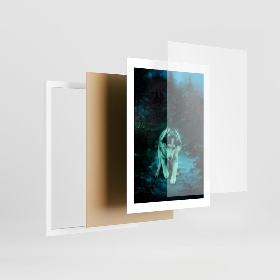 Plakat w ramie 30x40 - Siła i wdzięk natury - wilk, husky - rama biała