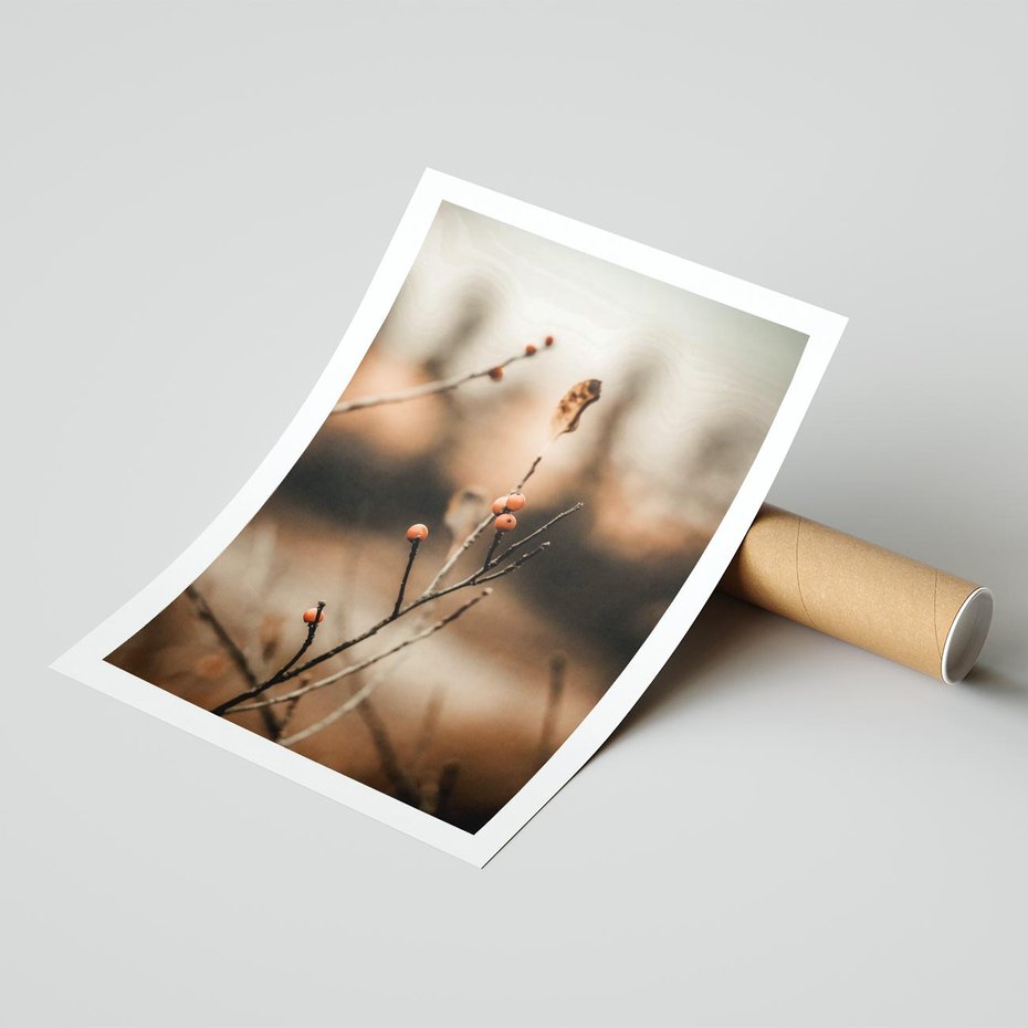 Plakat bez ramy 21x30 - Jarzębina w Pejzażu - jesień, gałązka