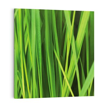Obraz na płótnie 50x50 - Trawa w abstrakcji: natura przekształcona - trawa, abstrakcja