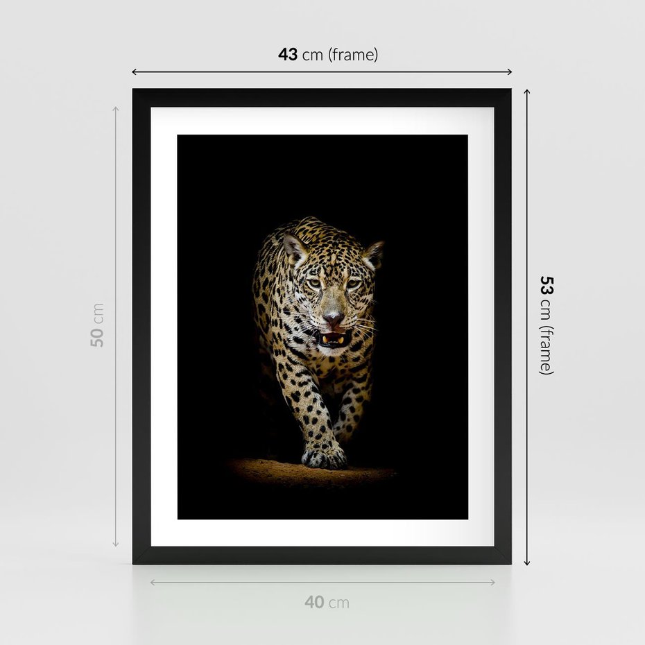 Plakat w ramie 40x50 - Elegancja lamparta - lampart, pantera - rama czarna