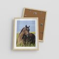 Plakat w ramie 30x40 - Siła i piękno natury - koń, łąka - rama drewno