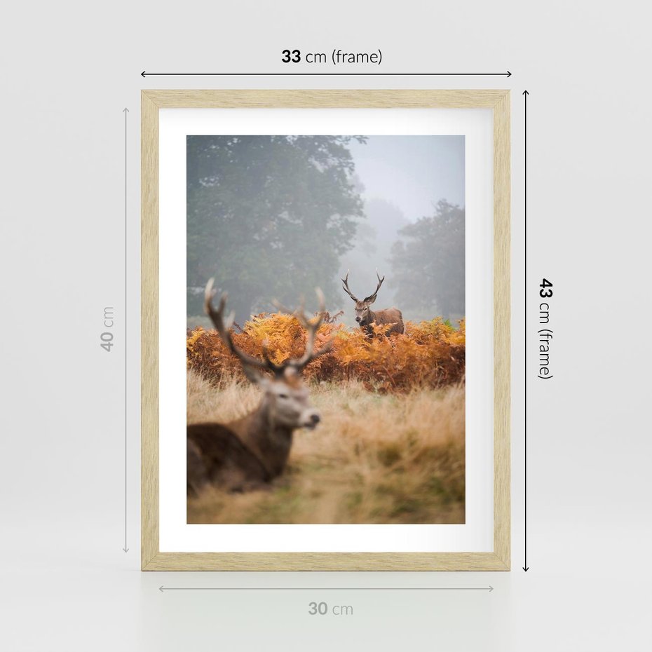 Plakat w ramie 30x40 - Malownicza Harmonia - jelenie, jesień - rama drewno