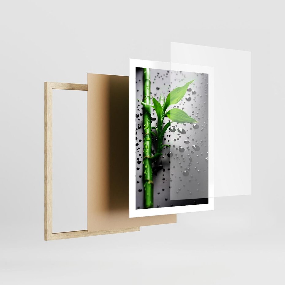 Plakat w ramie 50x70 - Bambusowa Harmonia - bambus, liście - rama drewno