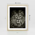 Plakat w ramie 40x50 - Moc lewego spojrzenia - lew, czarno - rama drewno