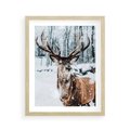 Plakat w ramie 40x50 - Jeleń na Zdjęciu pod Śniegiem - jeleń, zima - rama drewno