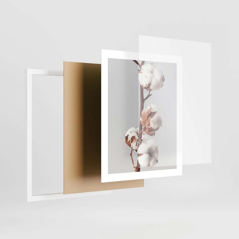 Plakat w ramie 40x50 - Spokojna Gałązka Bawełny - gałązka bawełny, prosta spokojna fotografia - rama biała