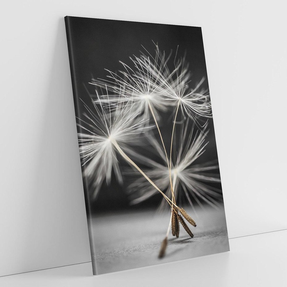 Obraz na płótnie 70x100 - Delikatność dmuchawców zbliżenie - dmuchawce, zbliżenie