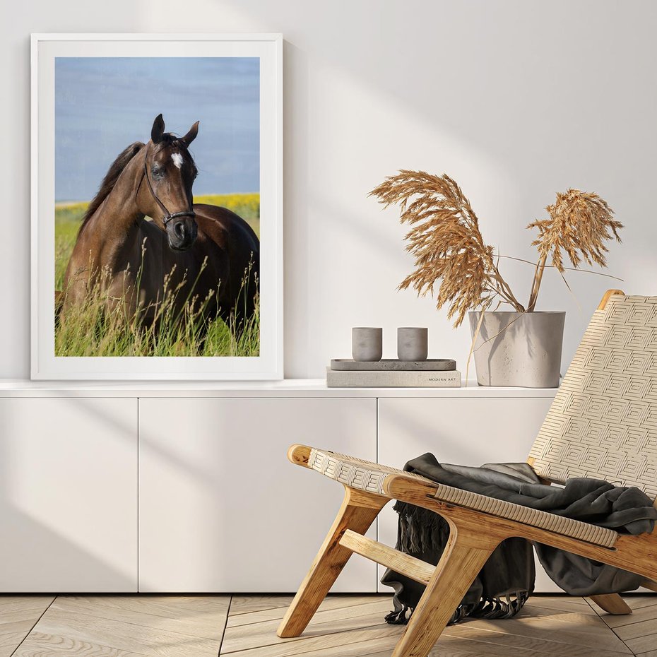 Plakat bez ramy 40x50 - Siła i piękno natury - koń, łąka