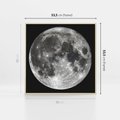 Obraz w ramie 50x50 - Księżycowa Aura - zdjęcie, ogromny księżyc na czarnym tle - rama drewno