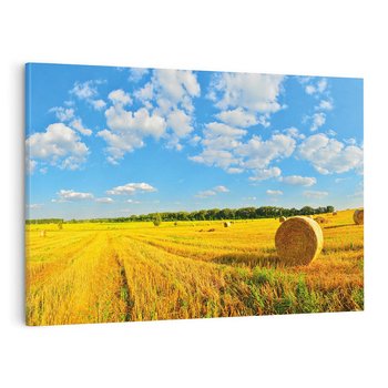 Obraz na płótnie 100x70 - Urok rolnictwa: Trawa w pełnym rozkwicie - rolnictwo, trawa