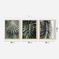 Zestaw obrazy w ramie 30x40 galeria - Liście, palmy, monstery - rama drewno