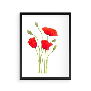 Plakat w ramie 30x40 - Pola maków w pełnym kolorze - maki, kwiaty - rama czarna