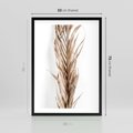 Plakat w ramie 50x70 - Minimalizm Palmowy: Sucha Uroda - sucha palma, minimalizm - rama czarna