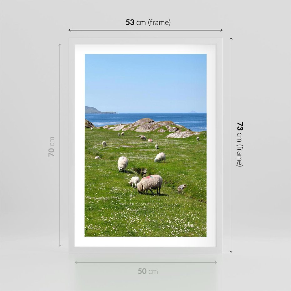 Plakat w ramie 50x70 - Górskie Owce - góry, owce - rama biała