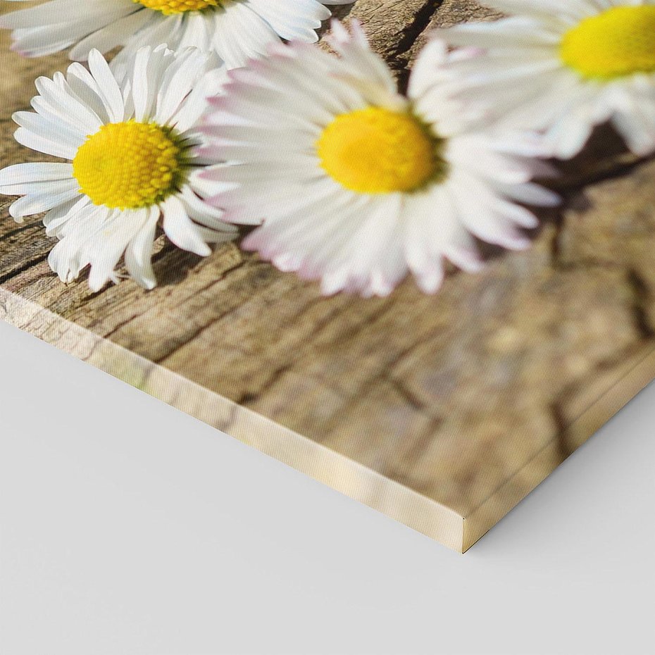 Obraz na płótnie 120x60 - Stokrotki w naturalnym otoczeniu - stokrotki, natura