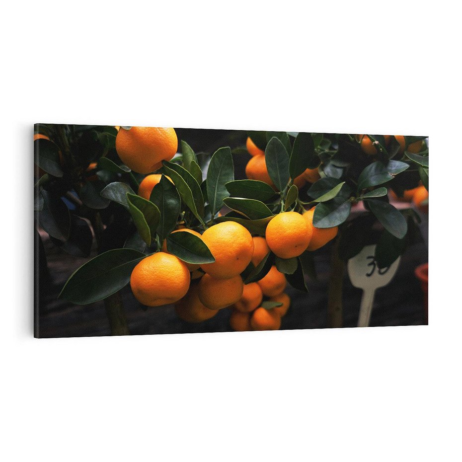 Obraz na płótnie 100x50 - Mandarynki na Drzewku - Owoce Pory Roku - mandarynki, drzewko
