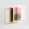 Plakat w ramie 30x40 - Fotografia Rośliny z Różowym Tłem - fotografia, zielona roślina na tle różwj ściany - rama drewno