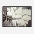 Obraz w ramie 100x70 - Tekstura Kwiatu - białe kwiaty, duży kwiat - rama czarna
