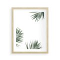 Plakat w ramie 40x50 - Liście Palmy na Czystym Tle - liście palmy, białe tło - rama drewno