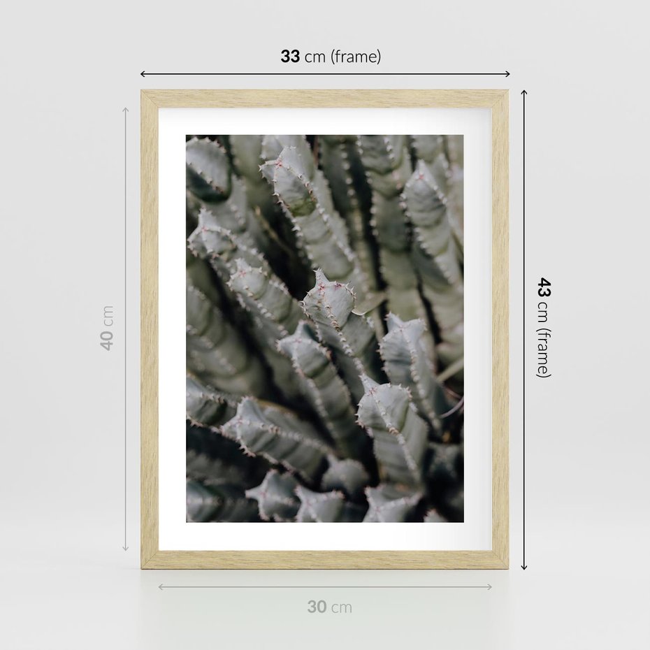 Plakat w ramie 30x40 - Oaza Natury - sukulenty, kaktusy - rama drewno