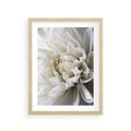 Plakat w ramie 30x40 - Białe Kwiaty Delikatności - białe, kwiaty - rama drewno