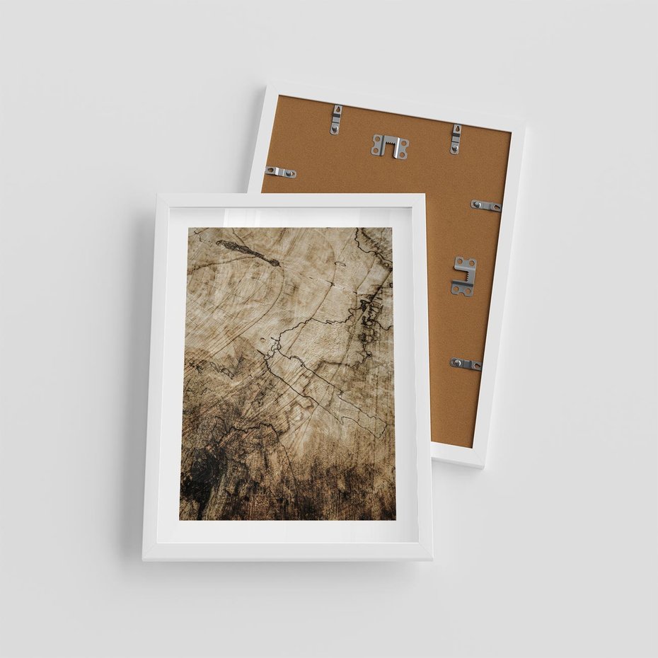 Plakat w ramie 30x40 - Słoje Natury - słoje drzewa, pieńdrzewa - rama biała