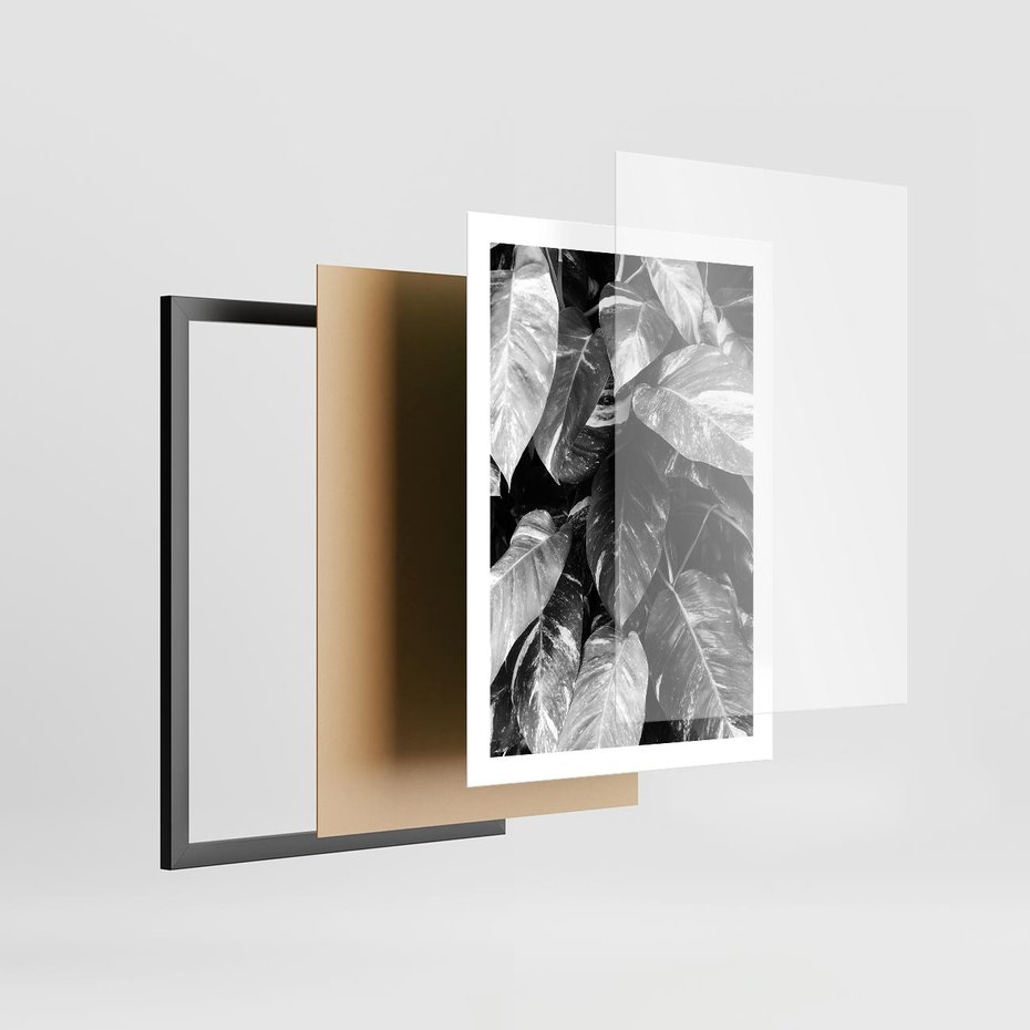 Plakat w ramie 50x70 - Liście w Czarno-Białej Fotografii - liście, roślina - rama czarna