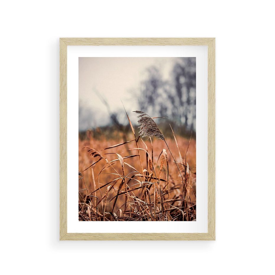 Plakat w ramie 30x40 - Jesienna Melancholia - suche trawy, jesień - rama drewno