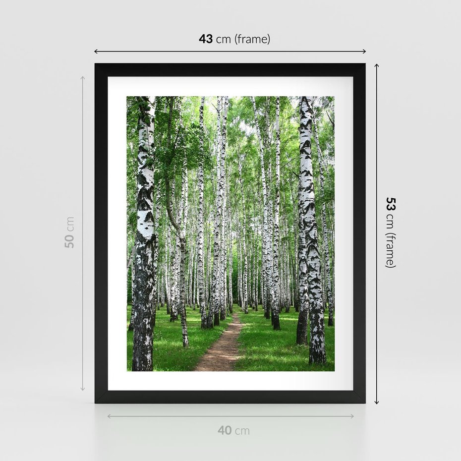 Plakat w ramie 40x50 - Magia lasu pełnego brzóz - las, brzozy - rama czarna