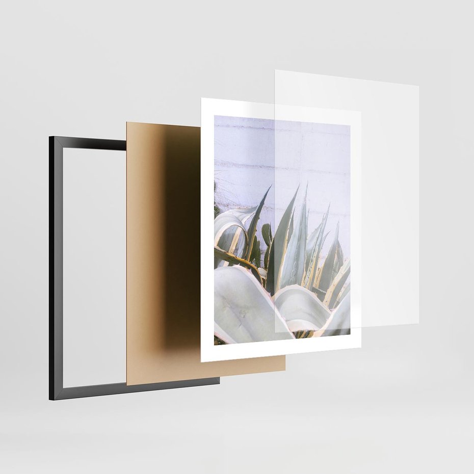 Plakat w ramie 40x50 - Sukulentowe liście - liście, sukulenty - rama czarna